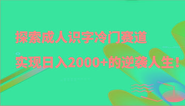 探索成人识字冷门赛道，实现日入2000+的逆袭人生！-彼飞网创