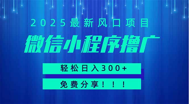 微信小程序撸广，最新风口项目，日入300+ 免费分享 可批量操作 小白可…-彼飞网创