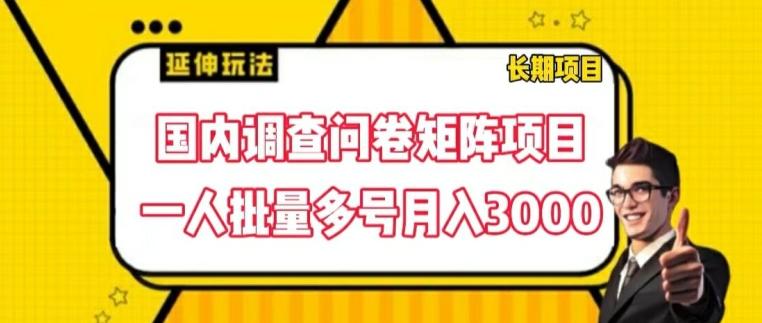 国内调查问卷矩阵项目，一人批量多号月入3000【揭秘】-彼飞网创