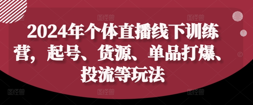 2024年个体直播训练营，起号、货源、单品打爆、投流等玩法-彼飞网创