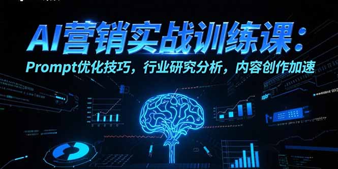 AI营销实战训练课：Prompt优化技巧，行业研究分析，内容创作加速-彼飞网创