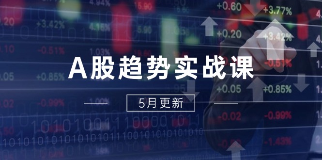 A股趋势实战课：主力动向+政策红利，2025全年策略5月更新-彼飞网创