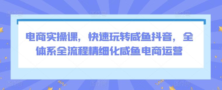 电商实操课，快速玩转咸鱼抖音，全体系全流程精细化咸鱼电商运营-彼飞网创