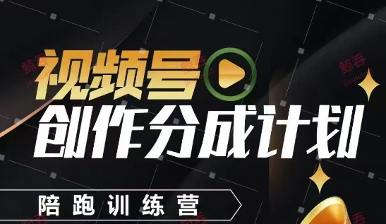 视频号创作分成计划陪跑训练营，手把手教会你如何制作视频，细水长流型项目-彼飞网创
