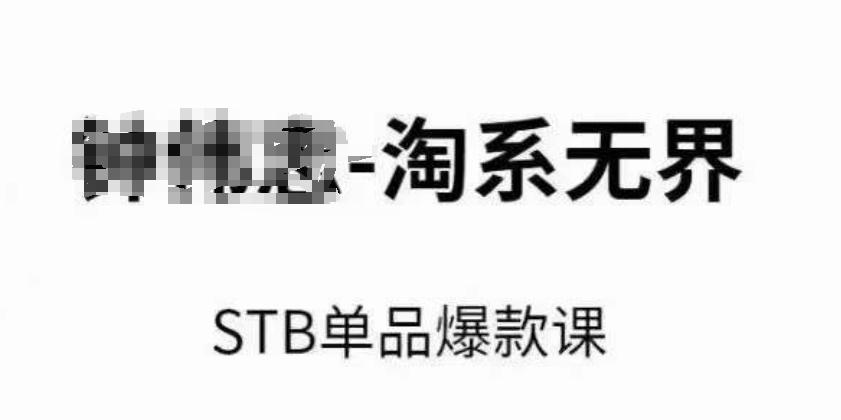 淘系无界STB单品爆款课(2024)，付费带动免费的核心逻辑，万相台无界关键词推广/精准人群的核心-彼飞网创