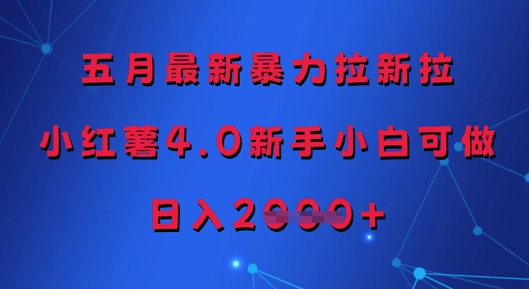 五月最新暴力拉新拉，小红薯4.0新手小白可做，日入多张-彼飞网创