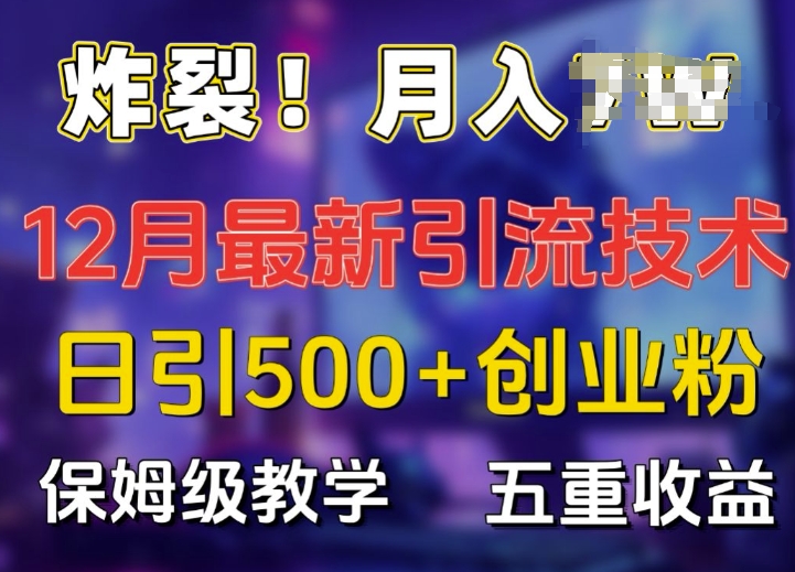 炸裂!揭秘12月最新日引流500+精准创业粉，多重收益保姆级教学-彼飞网创