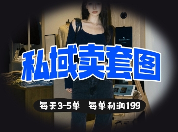 私域卖套图每天3-5单，每单利润99-彼飞网创