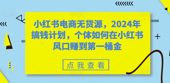 小红书电商无货源，2024年搞钱计划，个体如何在小红书风口赚到第一桶金-彼飞网创