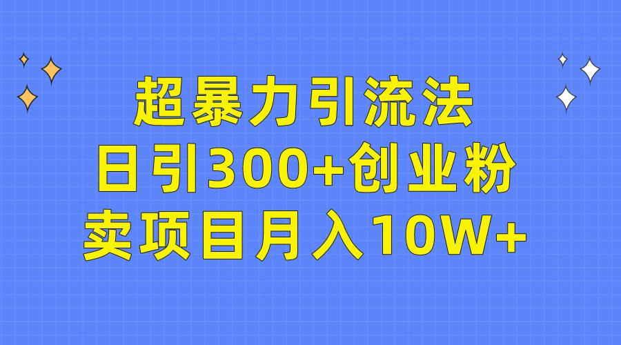 (9954期)超暴力引流法，日引300+创业粉，卖项目月入10W+-彼飞网创