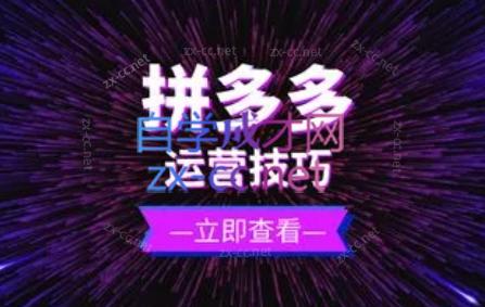 力辛电商·拼多多强付费店群玩法-彼飞网创