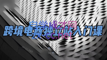 团长·跨境电商独立站入门课(2小时精华)-彼飞网创