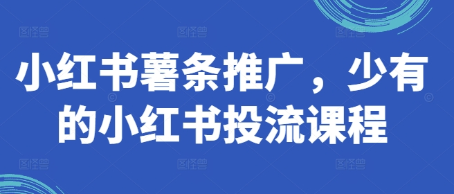 小红书薯条推广，少有的小红书投流课程-彼飞网创