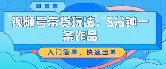 视频号带货玩法，5分钟一条作品，入门简单，快速出单【揭秘】-彼飞网创