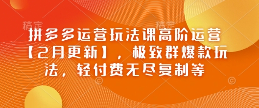 拼多多运营玩法课高阶运营【2月更新】，极致群爆款玩法，轻付费无尽复制等-彼飞网创