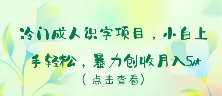冷门成人识字项目，小白上手轻松，暴力创收月入5w+【揭秘】-彼飞网创
