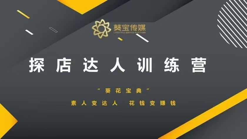 探店达人训练营，素人变达人，花钱变赚钱-彼飞网创