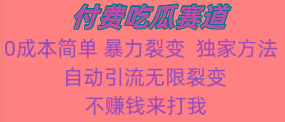 吃瓜付费赛道，暴力无限裂变，0成本，实测日入700+！！！-彼飞网创
