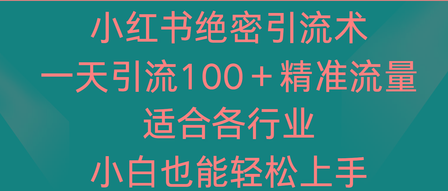 小红书绝密引流术，一天引流100＋精准流量，适合各个行业，小白也能轻松上手-彼飞网创