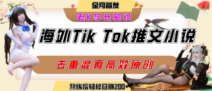 海外tiktok小说推文暴力项目，高停留率，高转化率，上手后一天搞顿饭钱不是问题-彼飞网创