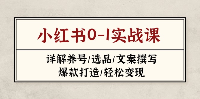 小红书0-1实战课(2023-2025-彼飞网创