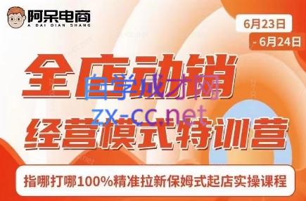阿呆电商·全店动销经营模式特训营(线下录音+思维导图)-彼飞网创