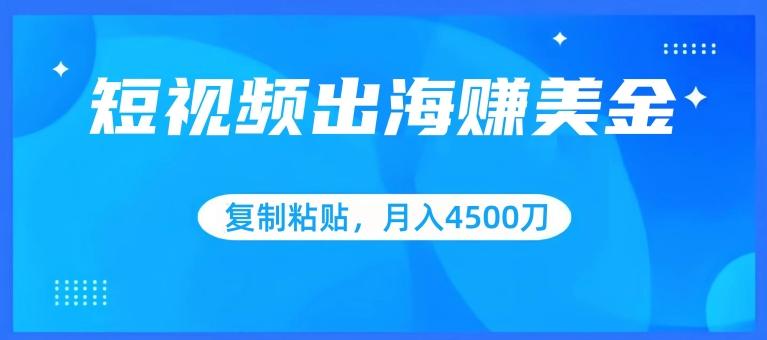 短视频出海赚美金，复制粘贴批量操作，小白轻松掌握，月入4500美刀【揭秘】-彼飞网创