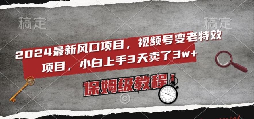 2024最新风口项目，视频号变老特效项目，电脑小白上手3天卖了3w+，保姆级教程【揭秘】-彼飞网创