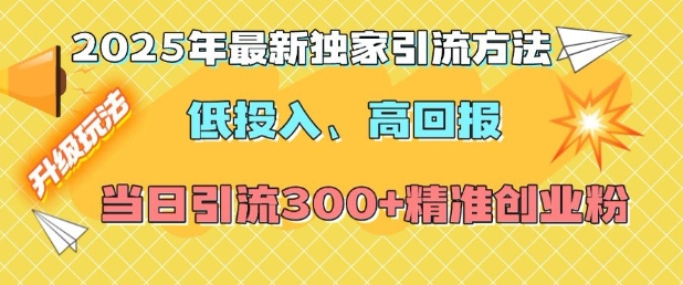 2025年最新独家引流方法，低投入高回报？当日引流300+精准创业粉-彼飞网创