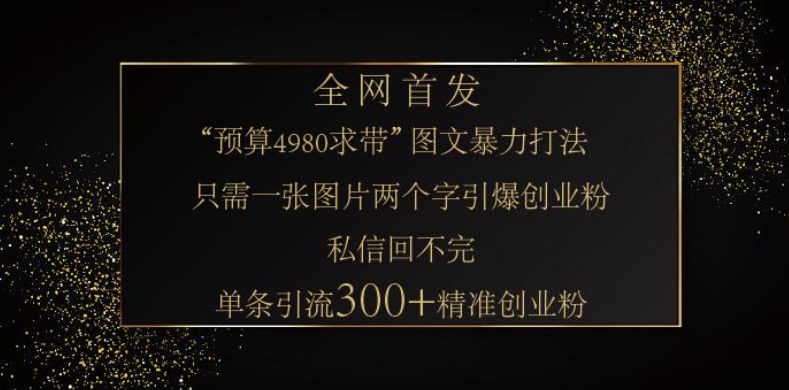小红书神奇图片引流法，只需一张图，就能单条笔记凭借此方法，轻松引流 300 + 精准创业粉-彼飞网创