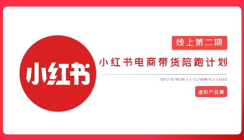 2025小红书虚拟电商实战课-彼飞网创