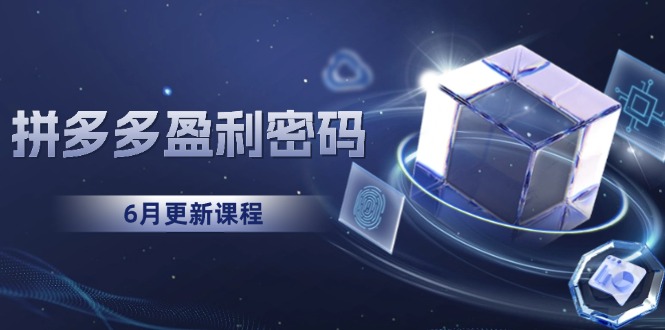 拼多多盈利密码：从烧钱推广到印钞模型，底层逻辑重构指南(6月更新-彼飞网创