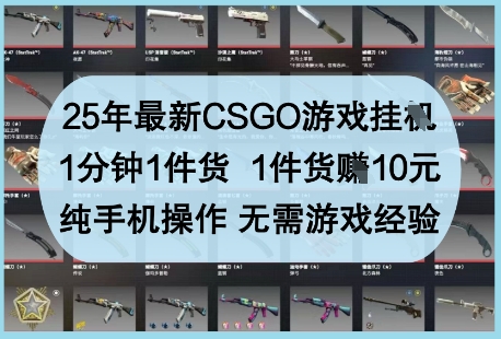 25年最新CSGO游戏挂G，1分钟1件货，1件货挣10元，纯手机操作，无需游戏经验【揭秘】-彼飞网创