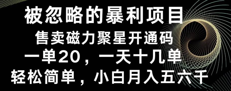 被忽略的暴利项目！售卖磁力聚星开通码，一单20，一天十几单，轻松月入五六千-彼飞网创
