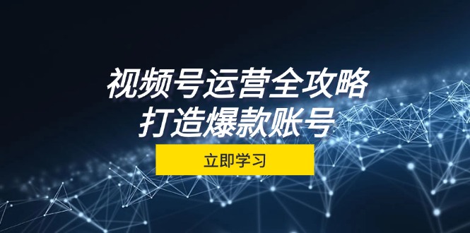 视频号运营全攻略，从定位到成交一站式学习，视频号核心秘诀，打造爆款…-彼飞网创