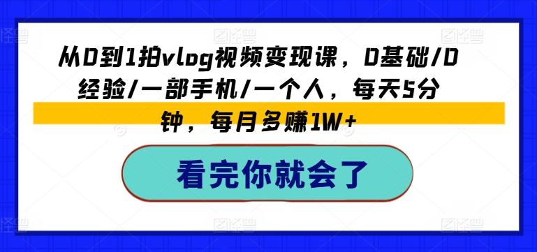 从0到1拍vlog视频变现课，0基础/0经验/一部手机/一个人，每天5分钟，每月多赚1W+-彼飞网创