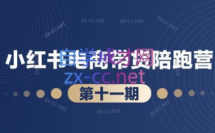 盗坤·小红书电商带货陪跑营(第十一期)-彼飞网创
