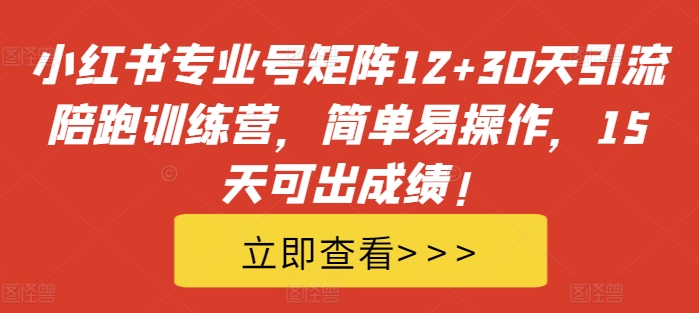 小红书专业号矩阵12+30天引流陪跑训练营，简单易操作，15天可出成绩!-彼飞网创