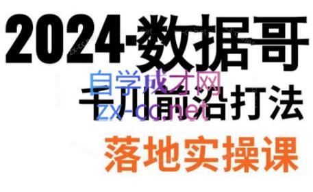 数据哥·2024年千川前沿打法落地实操课-彼飞网创