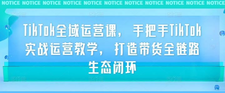 TikTok全域运营课，手把手TikTok实战运营教学，打造带货全链路生态闭环-彼飞网创