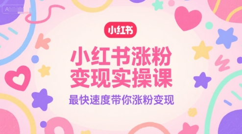 小红书涨粉变现实操课，最快速度带你涨粉变现-彼飞网创