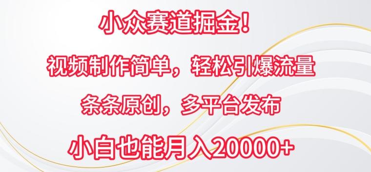 小众赛道掘金，视频制作简单，轻松引爆流量，条条原创，多平台发布【揭秘】-彼飞网创
