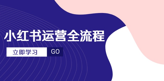 小红书运营全流程，爆款选题文案，视频制作技巧，进阶达人宝典-彼飞网创