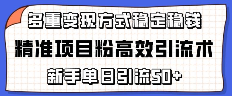 精准项目粉高效引流术，新手单日引流50+，多重变现方式稳定赚钱【揭秘】-彼飞网创