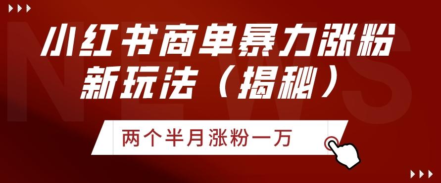 小红书商单暴力涨粉新玩法两个半月涨粉一万（揭秘）-彼飞网创