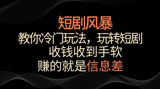 短剧风暴，教你冷门玩法，玩转短剧，收钱收到手软【揭秘】-彼飞网创