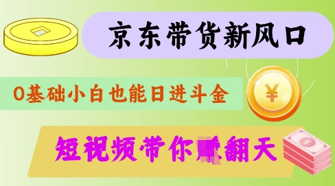 最新京东短视频带货代运营秘籍，轻松躺挣【揭秘】-彼飞网创