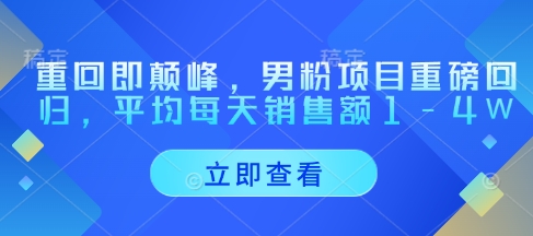 重回即颠峰，男粉项目重磅回归，平均每天销售额1-4W-彼飞网创