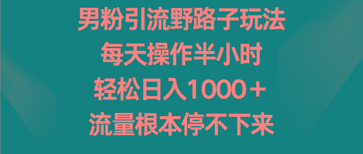 男粉引流野路子玩法，每天操作半小时轻松日入1000＋，流量根本停不下来-彼飞网创