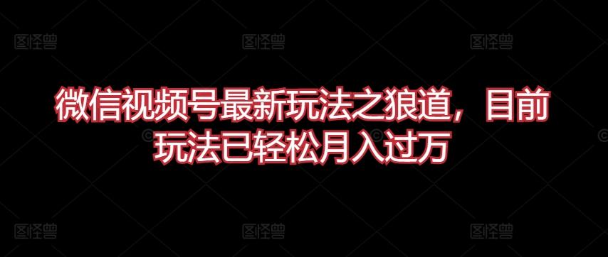 微信视频号最新玩法之狼道，目前玩法已轻松月入过万【揭秘】-彼飞网创